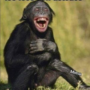 Meet your Posher, Kenia